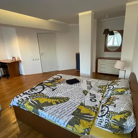 Grande View Victoriei Good Location * Bukarest
